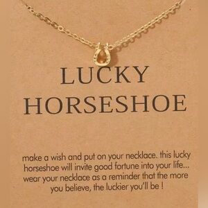 The mini horseshoe good luck necklace